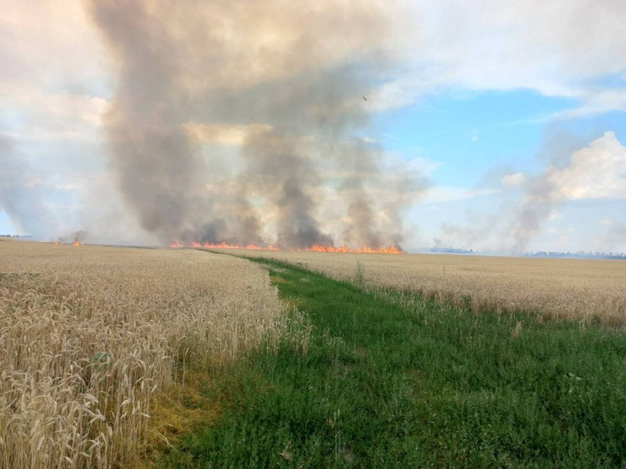 Wheat field near Andriivka settlement in Kharkiv Oblast of Ukraine after Russian shelling on 5 July 2022./Source: https://www.facebook.com/photo/?fbid=409543461215153&set=pcb.409544717881694